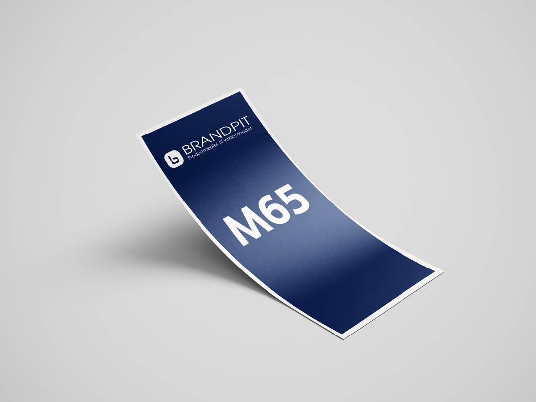 M65 (99x210mm) Flyer
