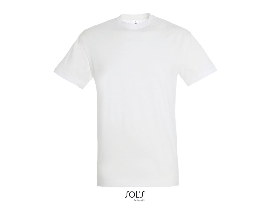 Sols Regent 11380