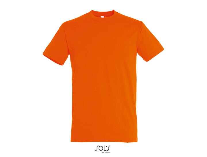 Sols Regent 11380