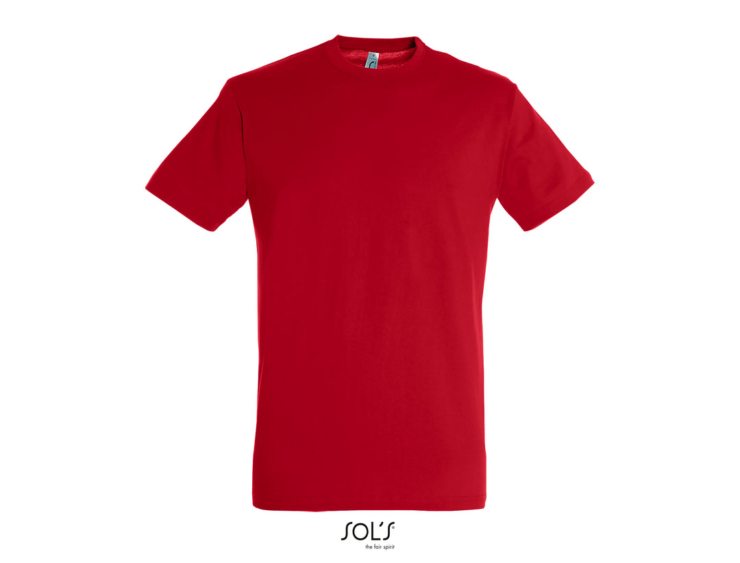 Sols Regent 11380