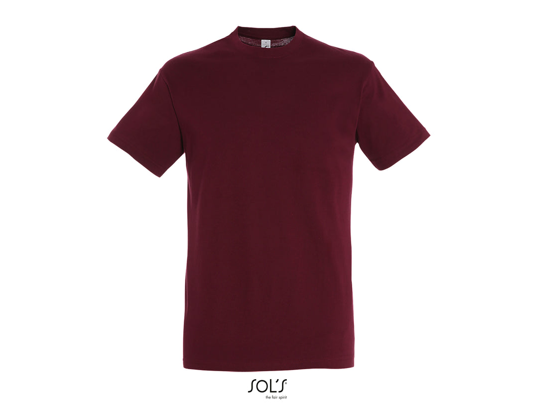 Sols Regent 11380