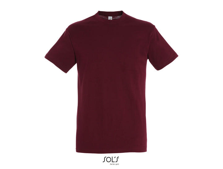 Sols Regent 11380