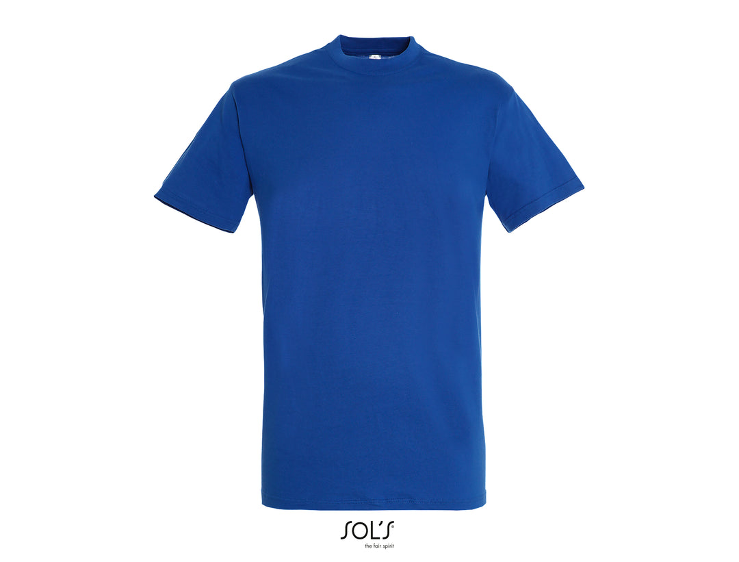 Sols Regent 11380
