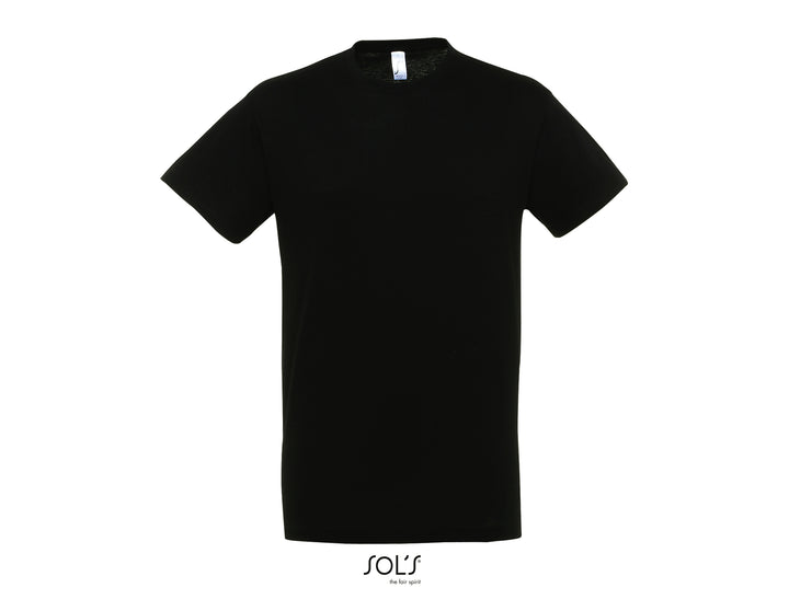 Sols Regent 11380