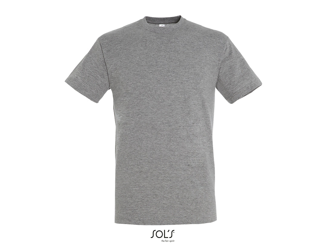 Sols Regent 11380