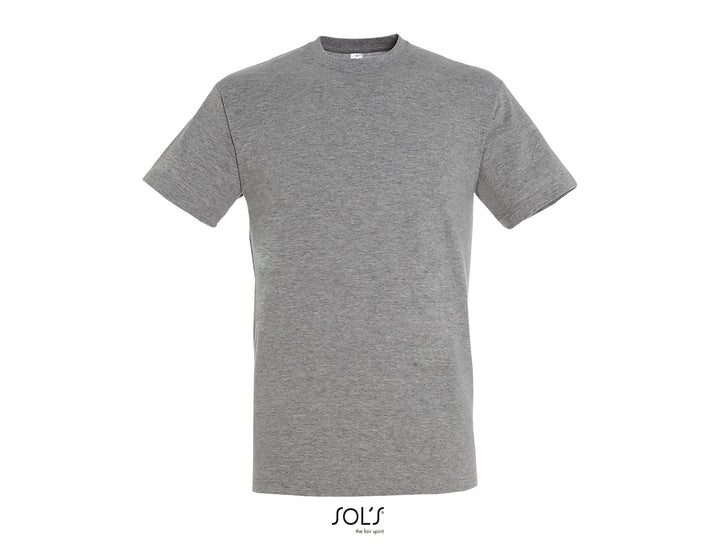 Sols Regent 11380