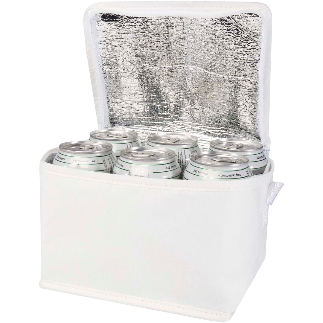 Spectrum 6-dåse genvunden non woven køletaske 4 l.