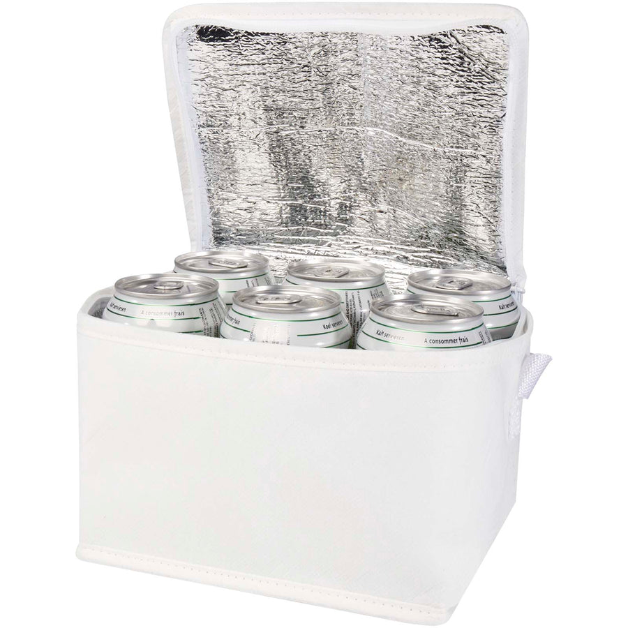 Spectrum 6-dåse genvunden non woven køletaske 4 l.