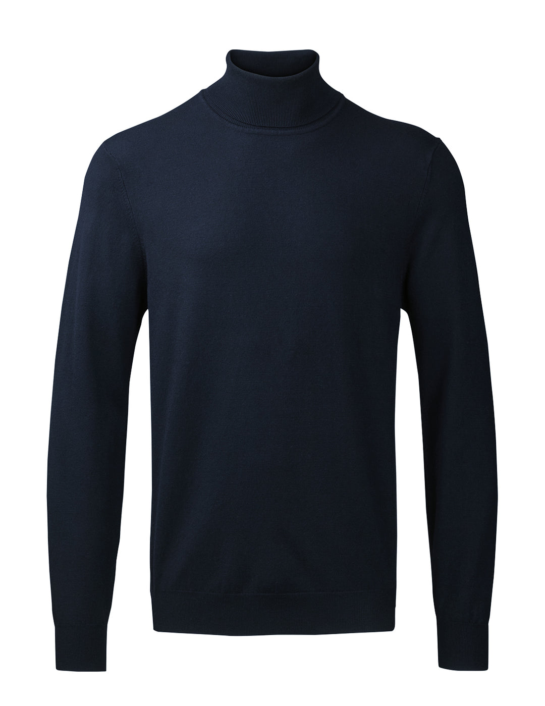 Paris Mens Pullover Roll Neck