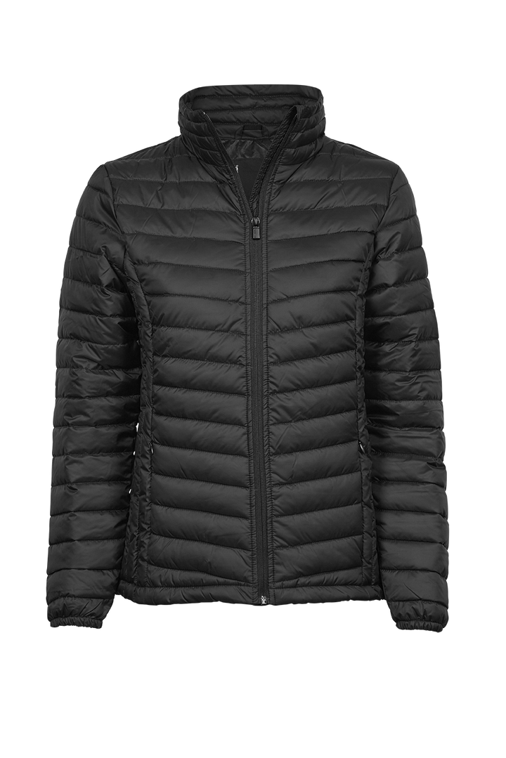 Women's Zepelin Jacket