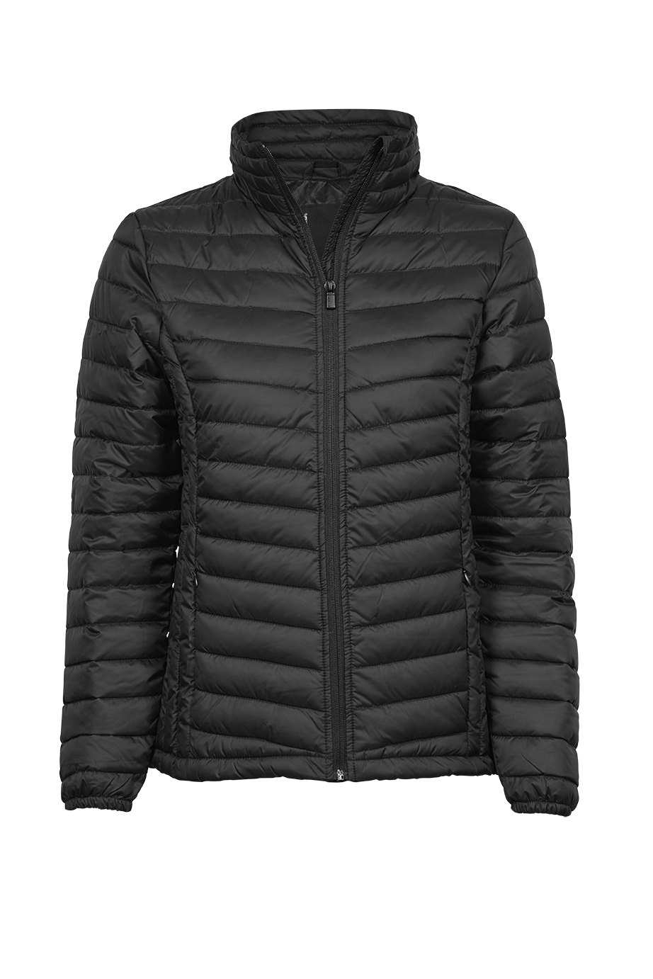 Women's Zepelin Jacket