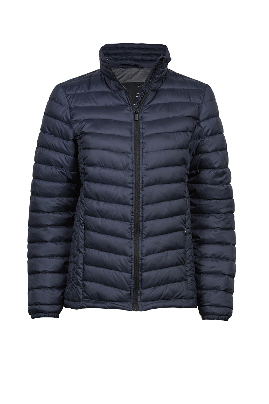 Women's Zepelin Jacket