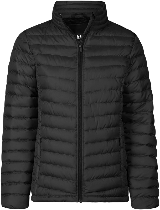 Women's Zepelin Jacket