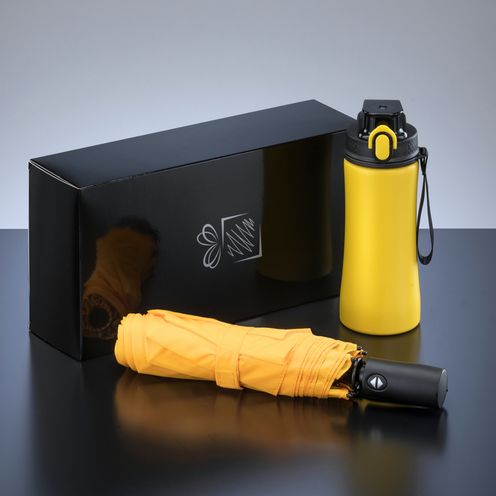Primo Everyday Set: water bottle 550 ml & full automatic umbrella harvard