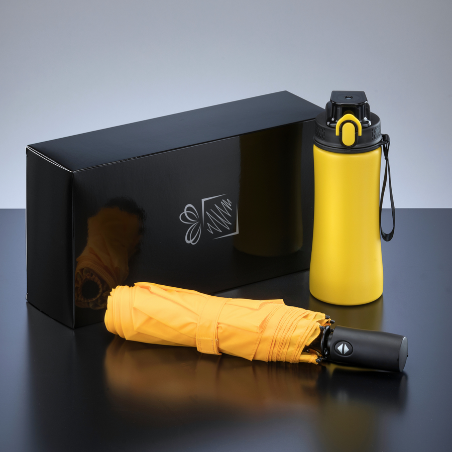 Primo Everyday Set: water bottle 550 ml & full automatic umbrella harvard