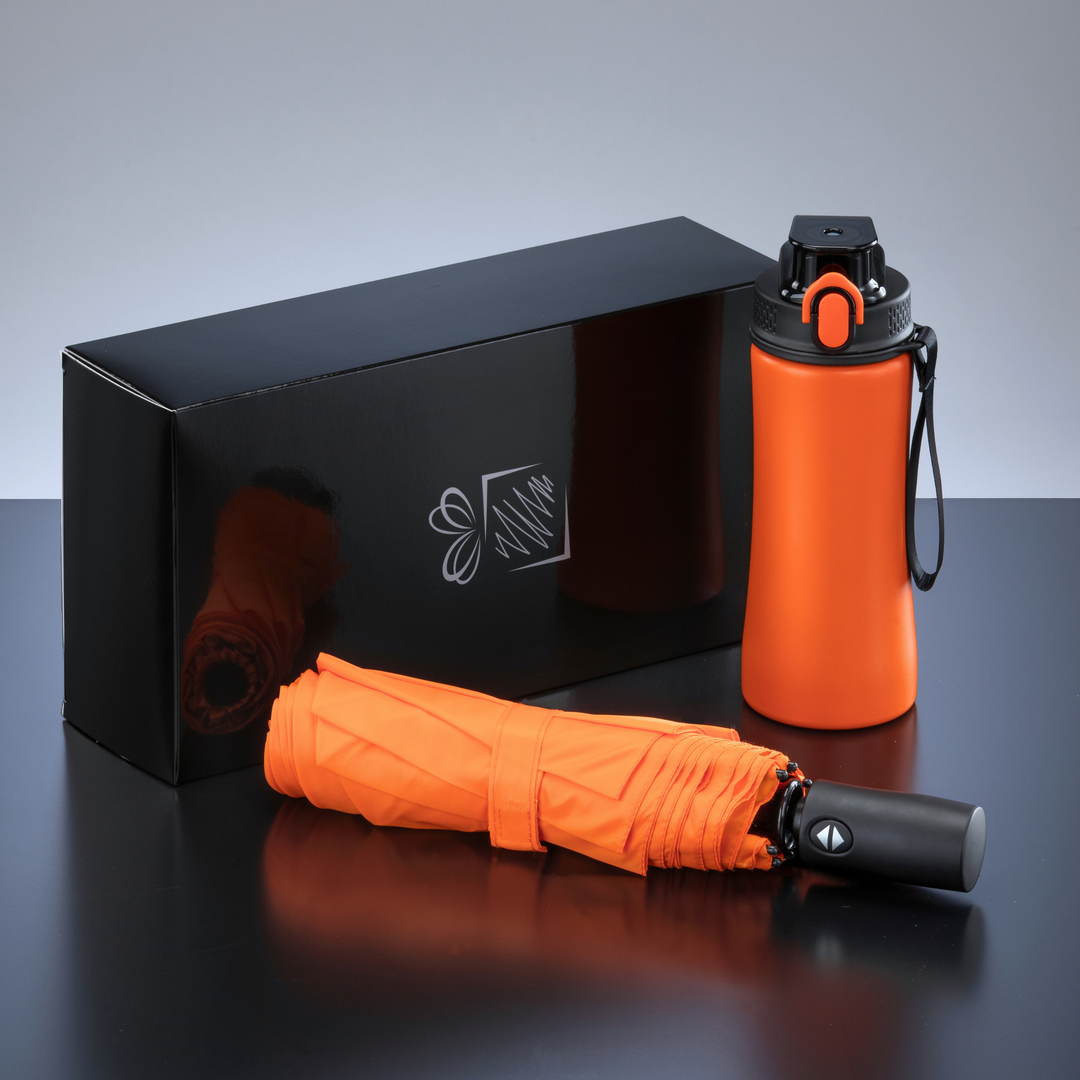 Primo Everyday Set: water bottle 550 ml & full automatic umbrella harvard