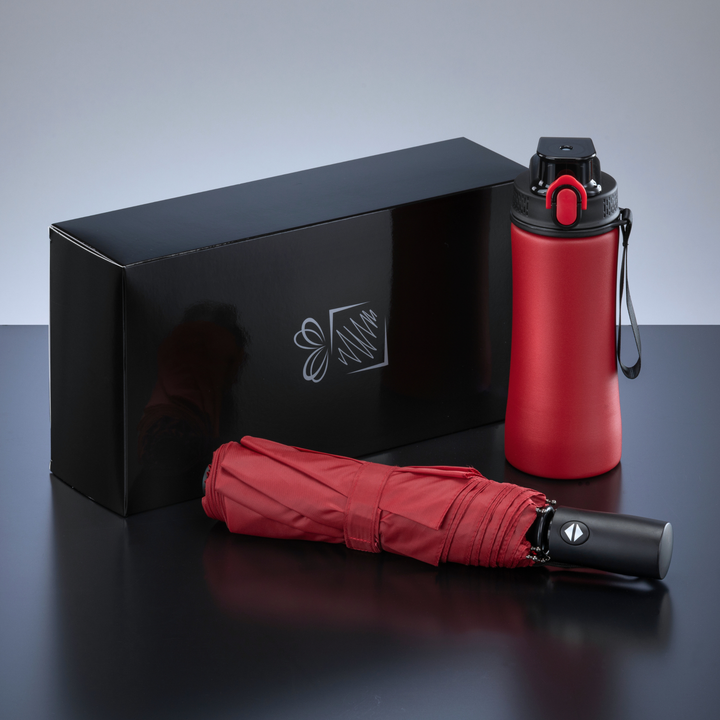 Primo Everyday Set: water bottle 550 ml & full automatic umbrella harvard