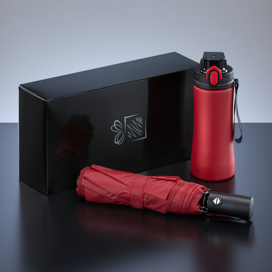 Primo Everyday Set: water bottle 550 ml & full automatic umbrella harvard