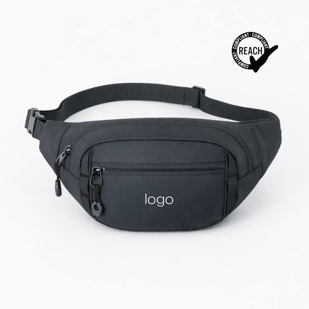 Expedition waist bag