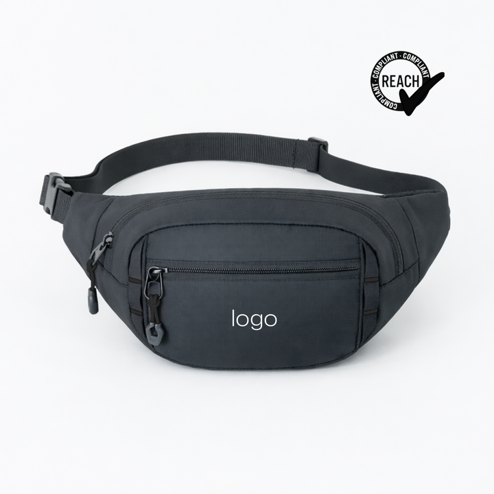 Expedition waist bag
