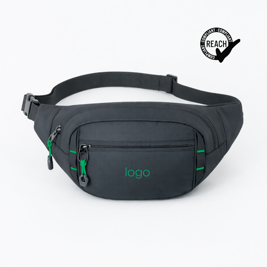 Expedition waist bag