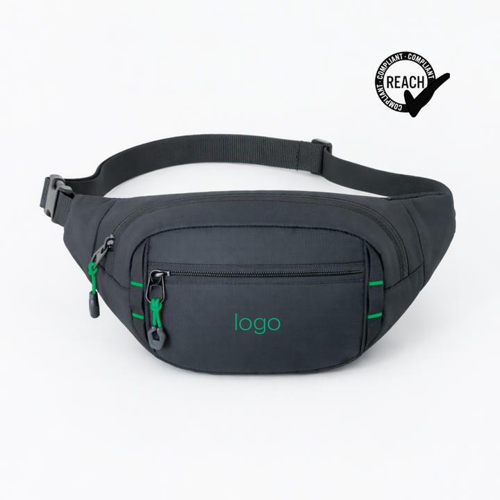 Expedition waist bag
