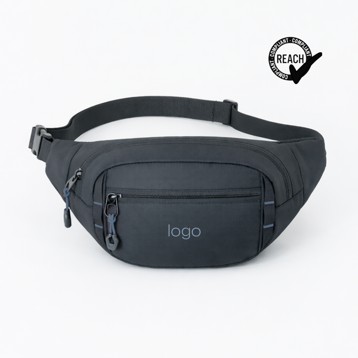Expedition waist bag