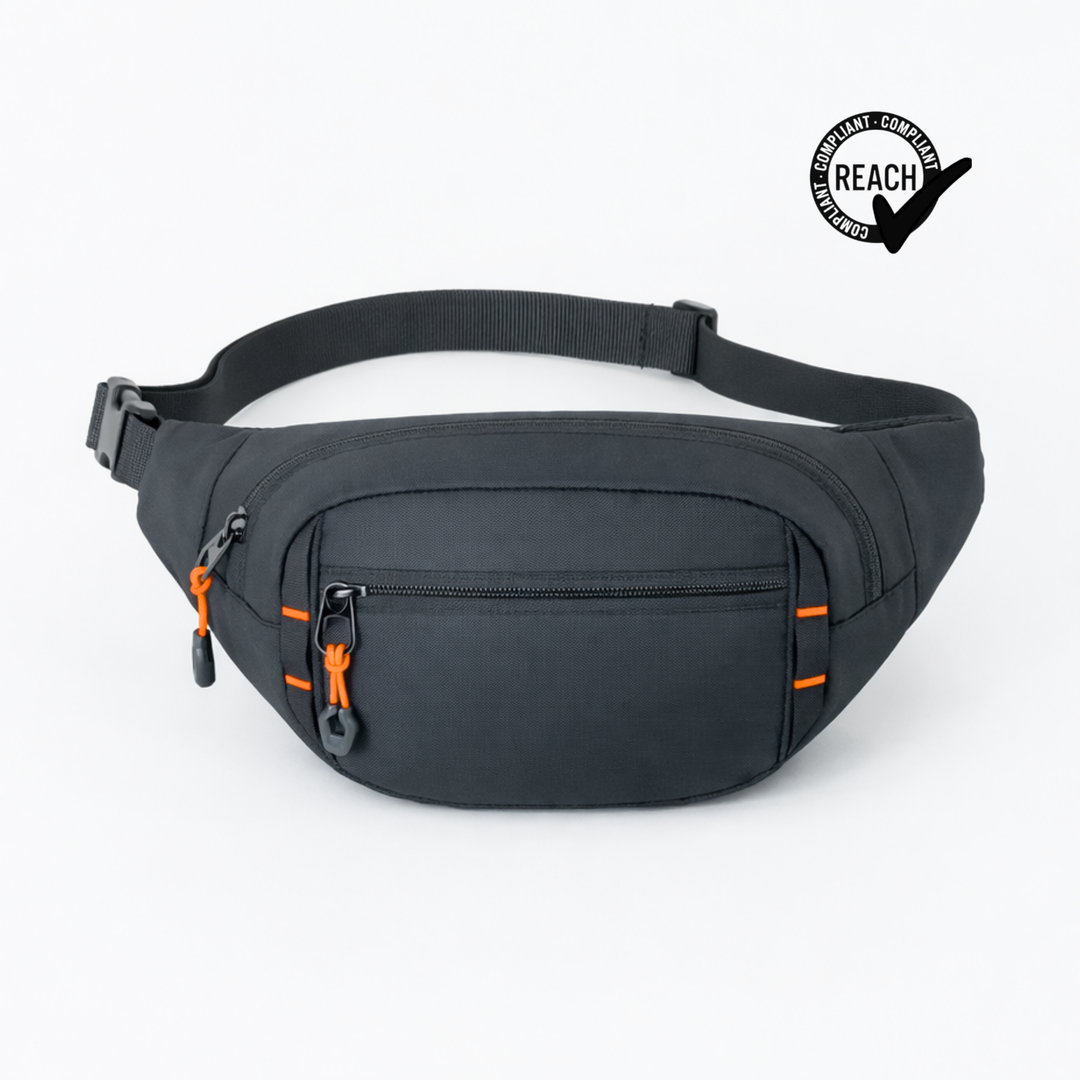 Expedition waist bag
