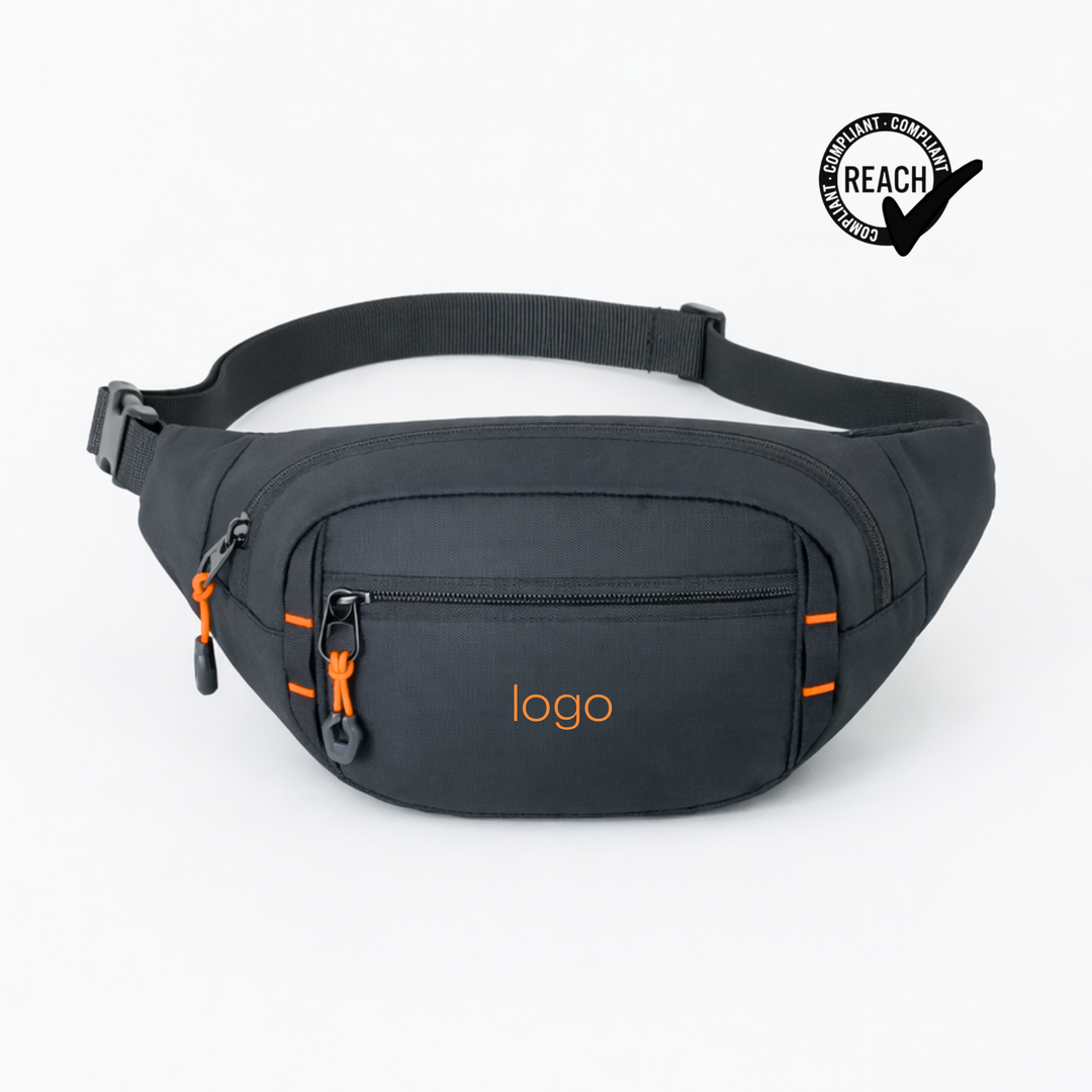 Expedition waist bag