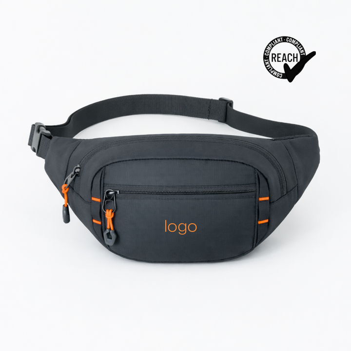 Expedition waist bag
