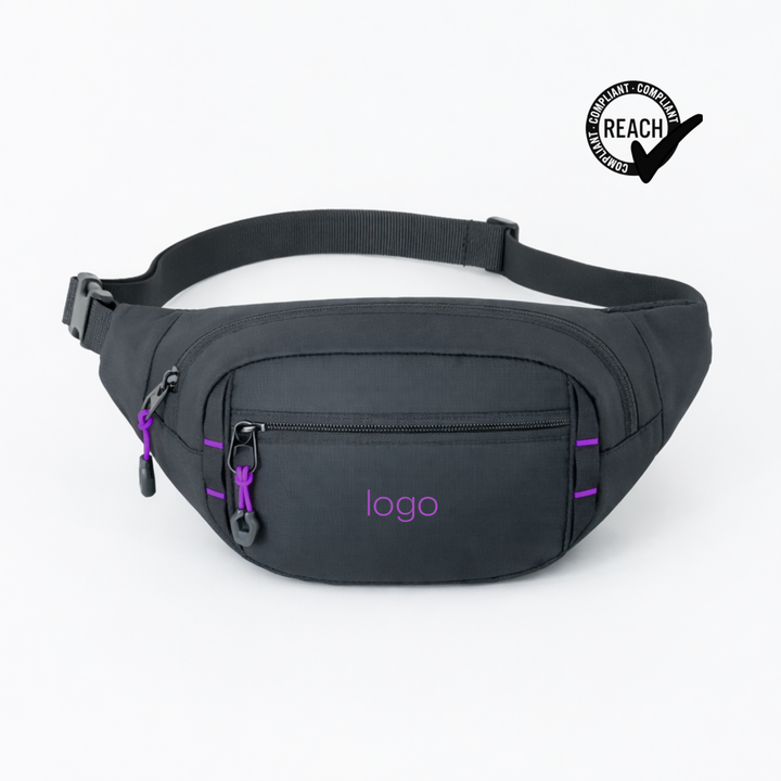 Expedition waist bag