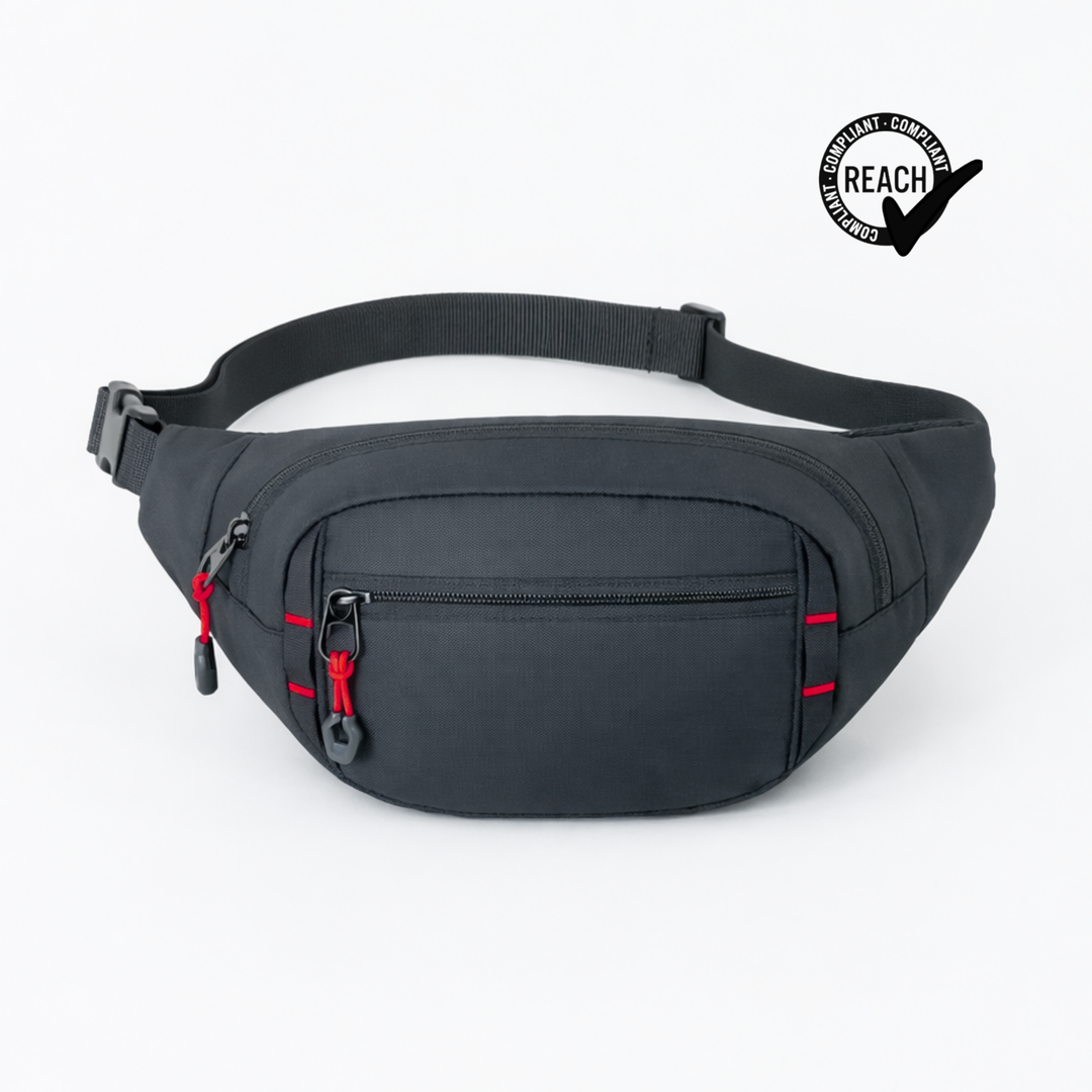 Expedition waist bag