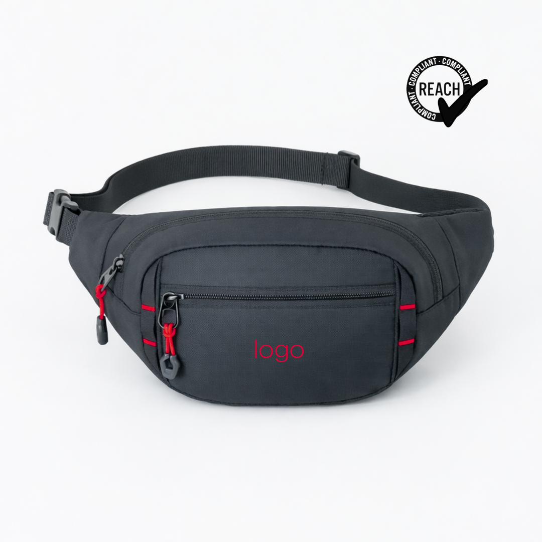 Expedition waist bag