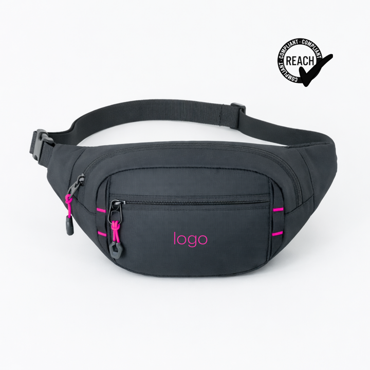 Expedition waist bag