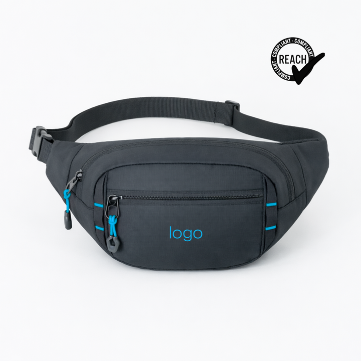 Expedition waist bag