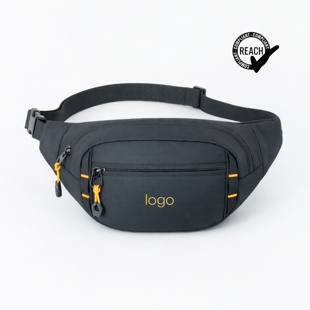 Expedition waist bag