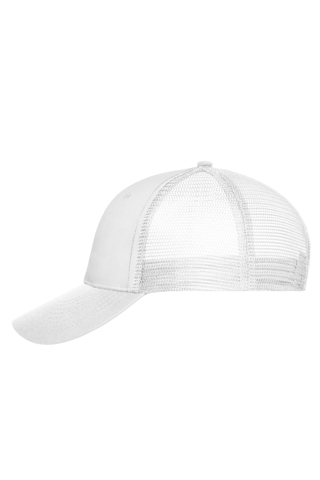 6 Panel Mesh Cap