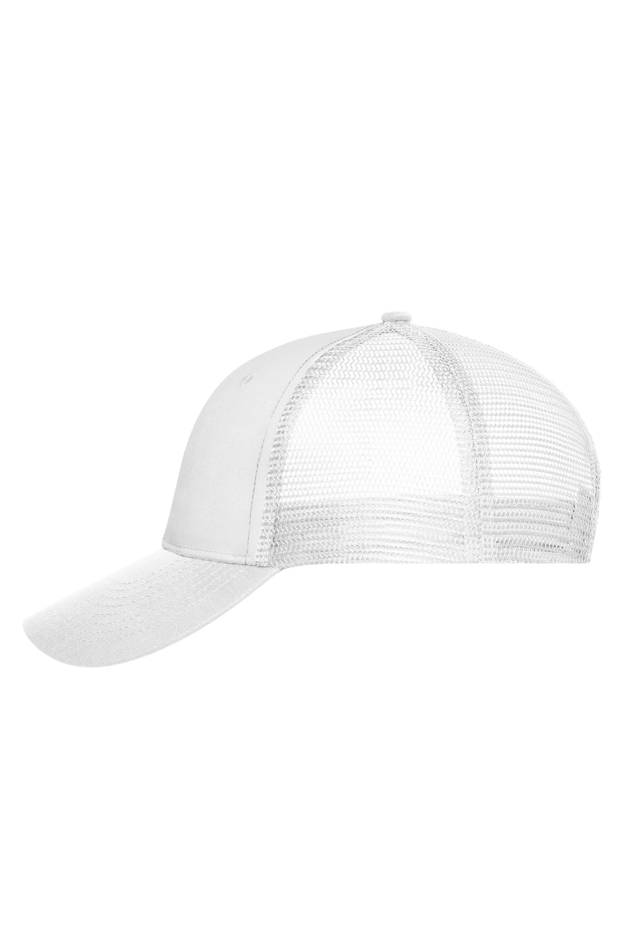 6 Panel Mesh Cap