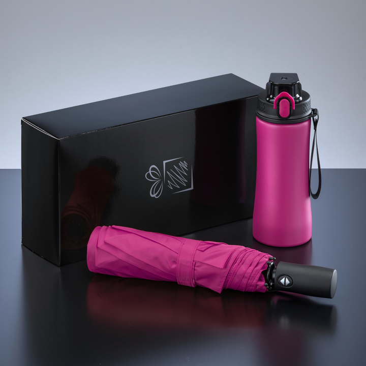 Primo Everyday Set: water bottle 550 ml & full automatic umbrella harvard